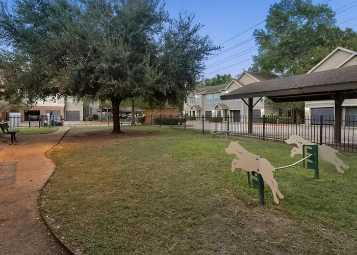 Lavish Apartment Near Houston Medical Centre