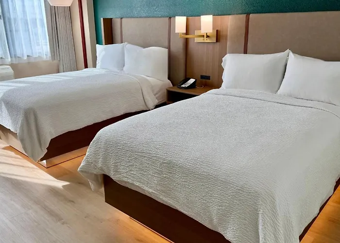 Holiday Inn Houston S - Nrg Area - Med Ctr By Ihg