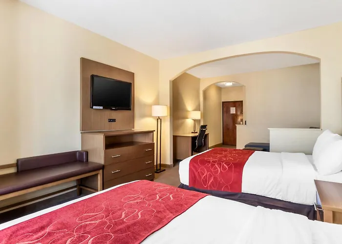 Comfort Suites Bush Intercontinental Airport Houston