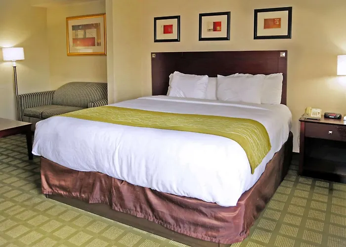 Comfort Inn Southwest Fwy At Westpark Houston