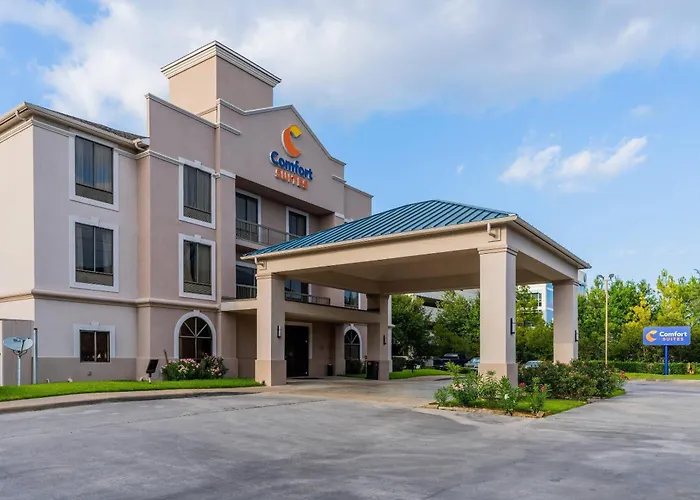Haustierfreundliches Comfort Suites Houston West At Clay Road