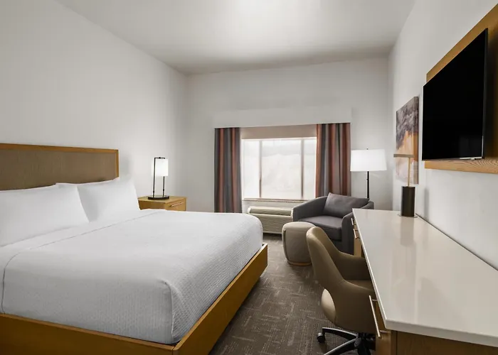 Holiday Inn Express Hotel & Suites Houston-Downtown Convention Center By Ihg