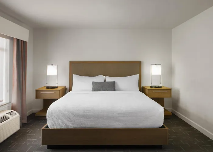 Holiday Inn Express Hotel & Suites Houston-Downtown Convention Center By Ihg