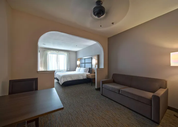 Wingate By Wyndham Houston Bush Intercontinental Airport Hotel Aldine