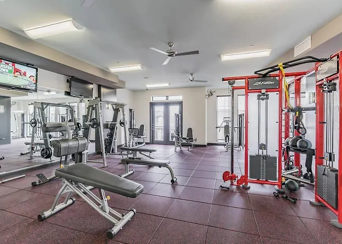 Pet friendly Modern Flat + Pool + Gym Apartment Houston