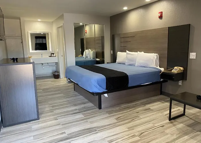 Pet friendly Tweetys 9 Diamond Inn Houston